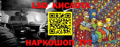 spice Кунгур
