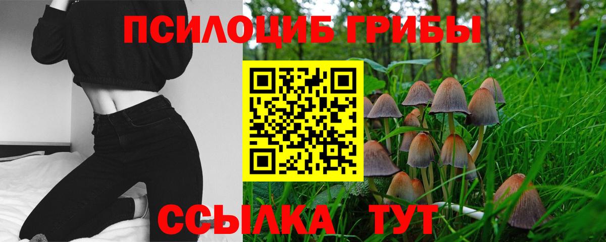 Бузулук  Псилоцибиновые грибы ЛСД  Вход с VPN 